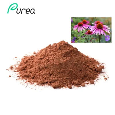 Tömeges Echinacea kivonat por