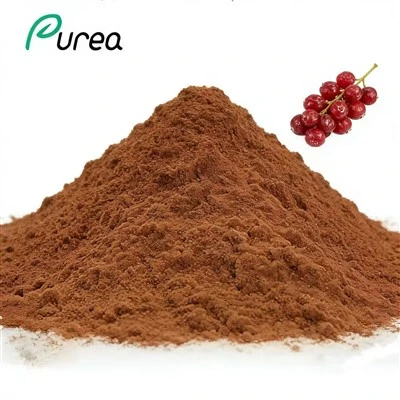 Schisandra Chinensis gyümölcskivonat por